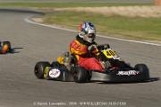 DSC_0233 (2)
